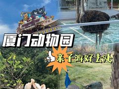-灵玲国际马戏城