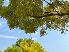 -森林公园(尖草坪区)