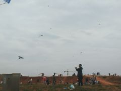 -白鹭湾湿地公园