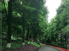 -龙头寺公园