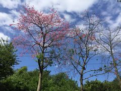 -白云山风景名胜区
