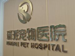 -瑞派康怡24h宠物医院·犬猫医疗中心·微创绝育(瑞景分院)