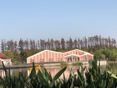 -上海长兴岛郊野公园