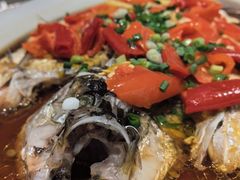 -丹江渔村(望京店)