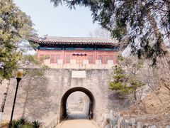 -云岗森林公园