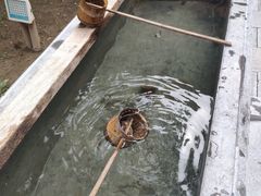-罔极寺