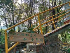 -南山植物园
