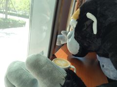 -ZOO COFFEE动物园咖啡(望京锐创店)
