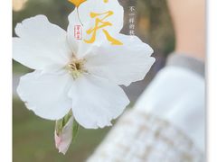 -鸽味轩·粤菜小馆(高楼门总店)