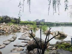 -唐城墙遗址公园