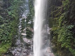 -莫里热带雨林景区