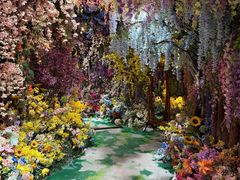-正佳雨林生态植物园