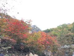-大连天门山国家森林公园