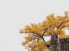 -金堂县云顶石城风景区