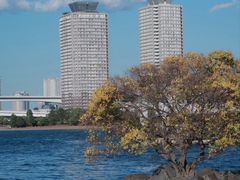 -台场海滨公园船码头