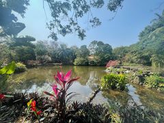 -海南热带野生动植物园