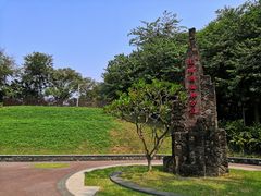 -王借岗森林公园