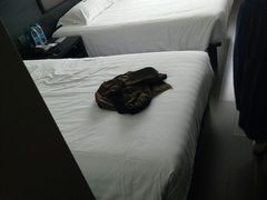 -桔子水晶苏州吴江步行街酒店