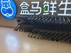 -盒马鲜生(宝地店)