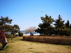 -黑石礁公园