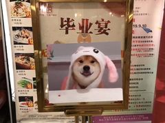 -同庆楼(滨湖万达广场店)