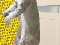 -孟氏拔罐(纬一路店)