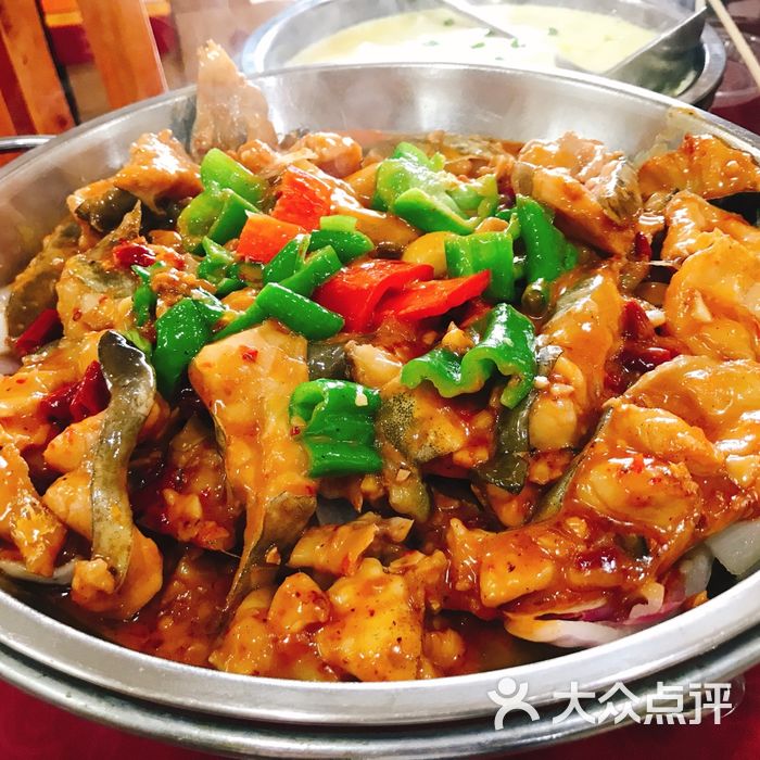 瓦萨奇鲢鱼大王