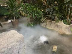 -滕头生态酒店(奉化店)