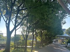-新江湾城公园