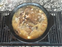 -蘑统田下·野生菌火锅