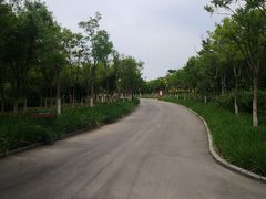 -天津东丽湖风景区