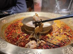 -哥老官重庆美蛙鱼头(西湖银泰十一哥店)