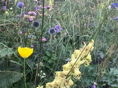 -白草畔自然风景区