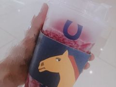 -春丽小马(济南恒隆广场店)