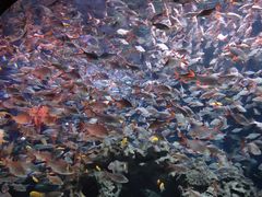 -成都浩海立方海洋公园