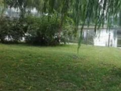 -康庄公园