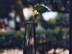 -元白和创园展厅