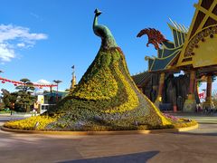 -七彩云南欢乐世界