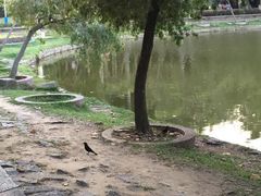 -金砂公园