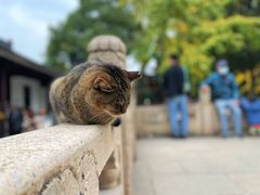 -西园寺