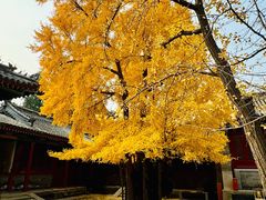 -承恩寺