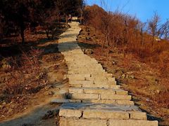 -永定河休闲森林公园