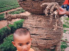 -渔岛海洋度假区