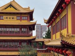 -南桥绿地铂骊酒店