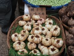 -大观篆新农贸市场