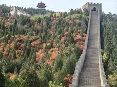 -龙口南山旅游景区