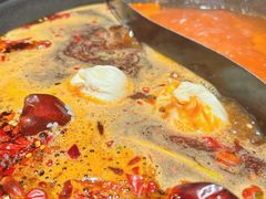 -朱光玉火锅馆(正弘城店)