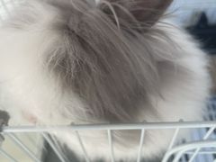 -小意思咖啡店(草桥店)