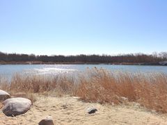 -大兴滨河森林公园