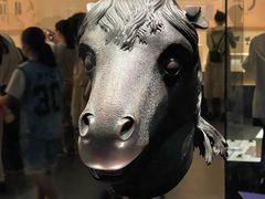 -广西壮族自治区博物馆